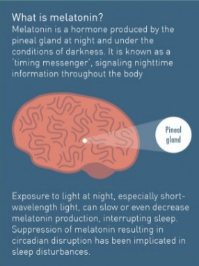 can you take melatonin with valium information pictures images